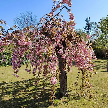 5577-gudhjem-norrelokke-18 Сasa de vacaciones Gudhjem